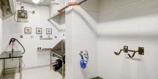 The Glenn Gallery 33