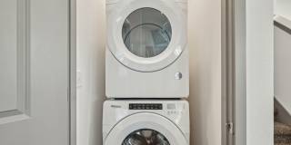 The Sophia Gallery 17