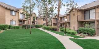 Mountain Springs Gallery 5