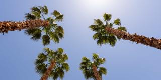 Amara Spring Valley Apartments Gallery 17