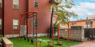Can Plant Gallery 56