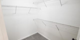 1865 Oak Tree Hollow Gallery 23