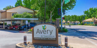 Avery at TownCentre Gallery 29