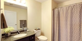 The Springs Gallery 29