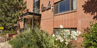 The Lark Gallery 8