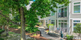 7 Cameron Gallery 3