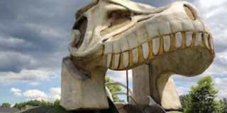 3 Bedroom Single Family w/ Finished Basement Home in Delaware,Ohio Gallery 39