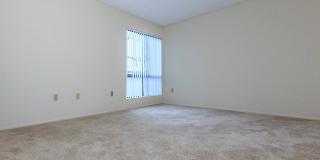 Riviera Vista Apartments Gallery 29