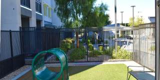 Viva Summerland Gallery 25