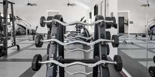 Standard441 Gallery 39