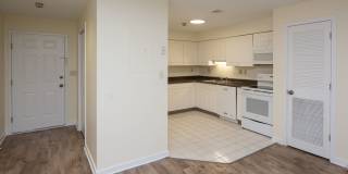 Chestnut Hill East Gallery 23