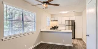 Shoal Creek North Gallery 3