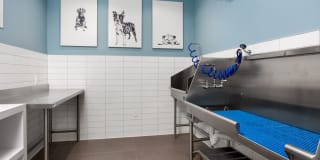 Avalon Camarillo Gallery 22