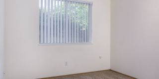 Forest Ridge Gallery 23