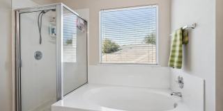 Room in 4 Bedroom Home in Austin Gallery 24