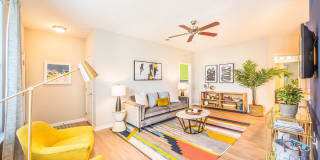 Element Carolina Bay Element Carolina Bay Gallery 5