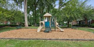 Glenmont Forest Gallery 24