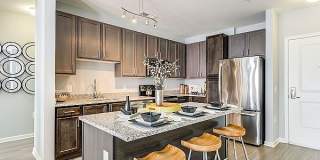 Ascend Apollo Gallery 1