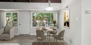 Glenmont Forest Gallery 3
