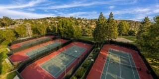 12245 Shady Hollow Ln Gallery 31