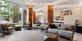 Knox at Metrocenter Gallery 13