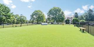 Waterford Village Gallery 30