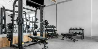 Collection at Gruene Gallery 36