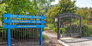 Sofi Thousand Oaks Gallery 22