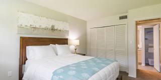 Imperial Palms Gallery 31