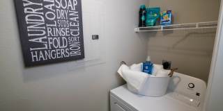 The Avenue Gallery 6