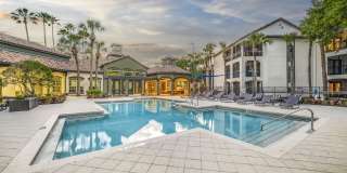 Mezzo of Tampa Palms Mezzo of Tampa Palms Gallery 1