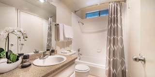 Pruneyard West Gallery 78