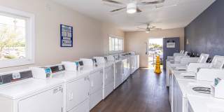 Las Brisas Gallery 4