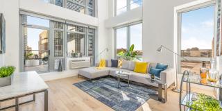 DVORA 175 Second Gallery 4