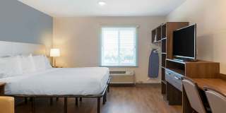 Tampa - Northeast Gallery 3