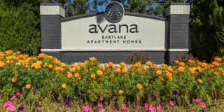 Avana Eastlake Gallery 48
