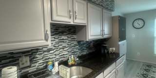 3142 QUARTET Lane unit: 255 Gallery 12