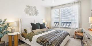 The Anderson Gallery 19