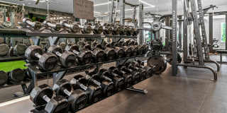 The Emory Gallery 29