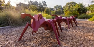 1155 Barton Springs Gallery 68