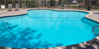 $3,295! Charming 2-Bed, 2-Bath Corner Unit in Gated Culver City Community! Gallery 26