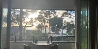 Los Arboles Apartments Gallery 3