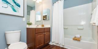 Verde at Howard Square West Gallery 12