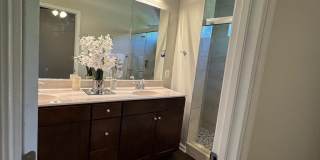 4619 FOREST PINES Drive Gallery 12