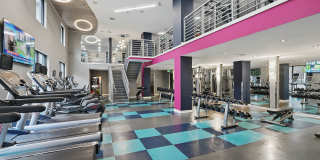 AMLI Dadeland Gallery 9