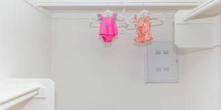 Vineyards Gallery 138