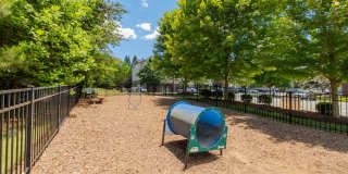 Alexander Pointe Gallery 25