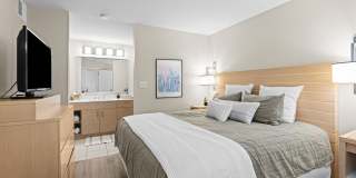 Avail Sandy Springs Gallery 5