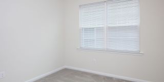 161 White Apple Way Gallery 16