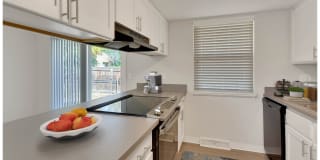 Trace West Townhomes Gallery 4